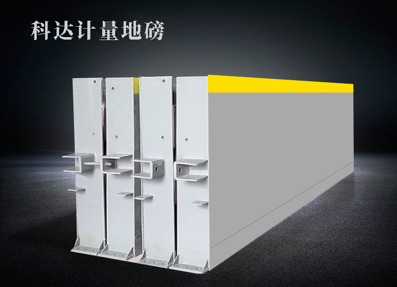 出口式電子地磅 出口式電子地磅